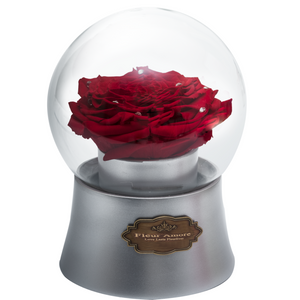 Red Preserved Rose｜The Only Large Silver Music Globe