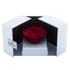 Red Mega Preserved Rose | Swing Opening Box