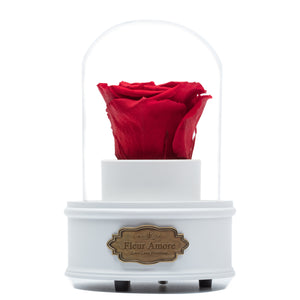 RED PRESERVED ROSE｜THE ONLY REGULAR WHITE MUSIC GLOBE