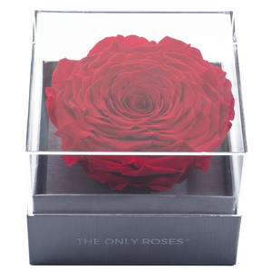 Red Mega Preserved Rose | Crystalline Rose Box