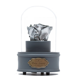 SILVER PRESERVED ROSE｜THE ONLY REGULAR GREY MUSIC GLOBE