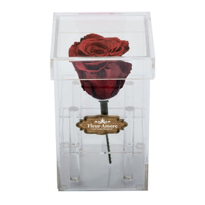 DARK RED PRESERVED ROSE | PETITE ACRYLIC ROSE BOX