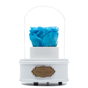 BLUE PRESERVED ROSE｜THE ONLY REGULAR WHITE MUSIC GLOBE