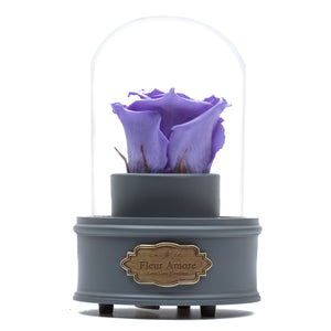 PURPLE PRESERVED ROSE｜THE ONLY REGULAR GREY MUSIC GLOBE