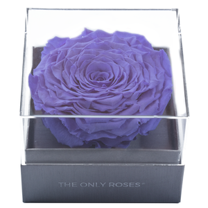 Purple Mega Preserved Rose | Crystalline Rose Box