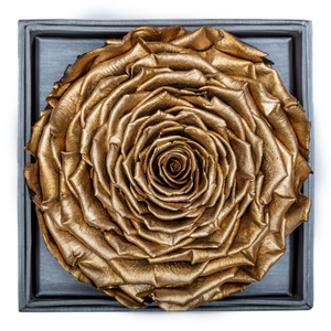 Golden Mega Preserved Rose | Crystalline Rose Box