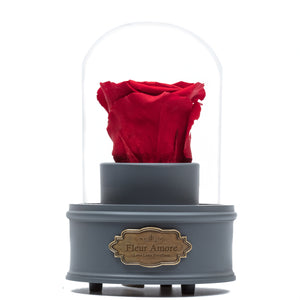 RED PRESERVED ROSE｜THE ONLY REGULAR GREY MUSIC GLOBE