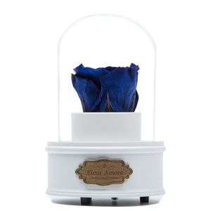 ROYAL BLUE PRESERVED ROSE｜THE ONLY REGULAR WHITE MUSIC GLOBE