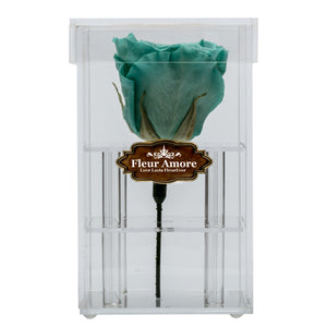 TIFFANY BLUE PRESERVED ROSE | PETITE ACRYLIC ROSE BOX