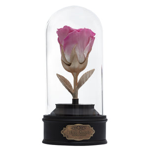 PINK PRESERVED ROSE | BEAUTY AND THE BEAST MUSIC GLOBE