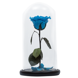 Blue Heart Shape Preserved Rose | Beauty and The Beast Glass Dome