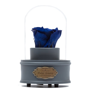 ROYAL BLUE PRESERVED ROSE｜THE ONLY REGULAR GREY MUSIC GLOBE