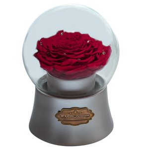 Red Preserved Rose｜The Only Large Silver Music Globe