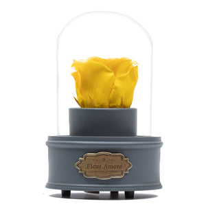 YELLOW PRESERVED ROSE｜THE ONLY REGULAR GREY MUSIC GLOBE