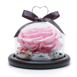 Pink Preserved Rose | Glass Dome with Heart Handle