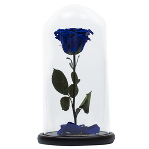 Royal Blue with Crystal Dust Heart Shape Preserved Rose | Beauty and The Beast Glass Dome