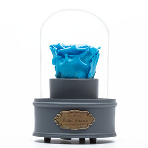 BLUE PRESERVED ROSE｜THE ONLY REGULAR GREY MUSIC GLOBE