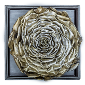 Silver Mega Preserved Rose | Crystalline Rose Box