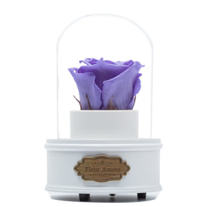 PURPLE PRESERVED ROSE｜THE ONLY REGULAR WHITE MUSIC GLOBE