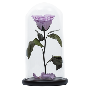 Purple with Crystal Dust Heart Shape Preserved Rose | Beauty and The Beast Glass Dome