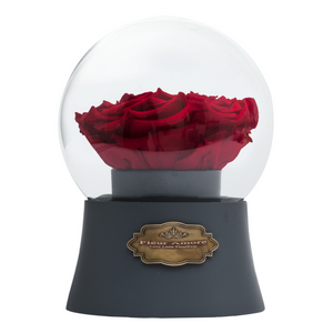 Red Preserved Rose｜The Only Large Grey Music Globe