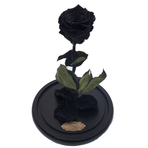 Black Preserved Rose | Beauty and The Beast Glass Dome