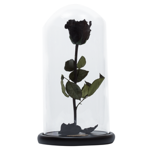 Black Preserved Rose | Beauty and The Beast Glass Dome