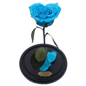 Blue Heart Shape Preserved Rose | Beauty and The Beast Glass Dome