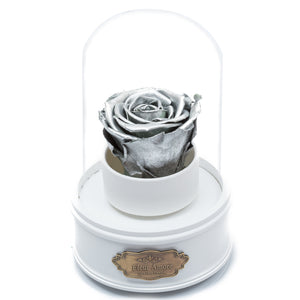 SILVER PRESERVED ROSE｜THE ONLY REGULAR WHITE MUSIC GLOBE