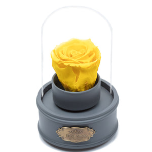 YELLOW PRESERVED ROSE｜THE ONLY REGULAR GREY MUSIC GLOBE