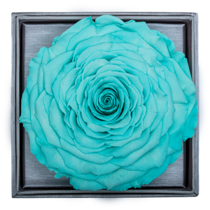 Bright Blue Mega Preserved Rose | Crystalline Rose Box