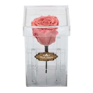 LIGHT PINK PRESERVED ROSE | PETITE ACRYLIC ROSE BOX