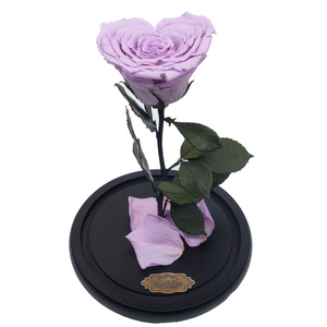 Purple Heart Shape Preserved Rose | Beauty and The Beast Glass Dome