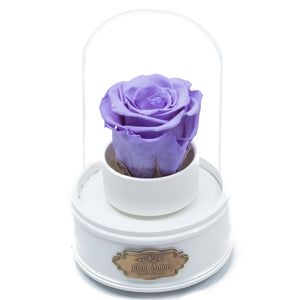 PURPLE PRESERVED ROSE｜THE ONLY REGULAR WHITE MUSIC GLOBE