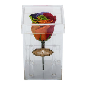 RAINBOW PRESERVED ROSE | PETITE ACRYLIC ROSE BOX