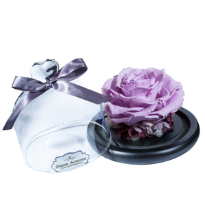 Purple Preserved Rose | Glass Dome with Heart Handle