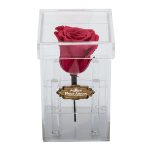 DARK PINK PRESERVED ROSE | PETITE ACRYLIC ROSE BOX