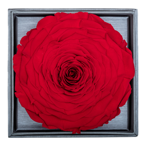 Red Mega Preserved Rose | Crystalline Rose Box