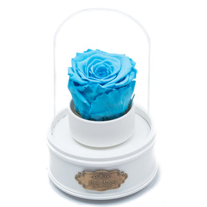 BLUE PRESERVED ROSE｜THE ONLY REGULAR WHITE MUSIC GLOBE