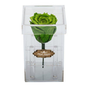 GREEN PRESERVED ROSE | PETITE ACRYLIC ROSE BOX