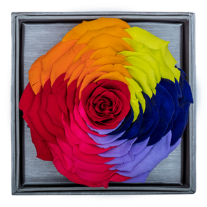 Rainbow Mega Preserved Rose | Crystalline Rose Box