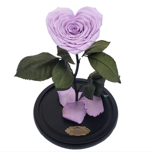 Purple with Crystal Dust Heart Shape Preserved Rose | Beauty and The Beast Glass Dome