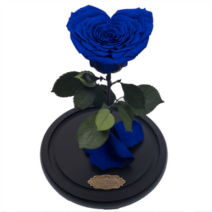 Royal Blue Heart Shape Preserved Rose | Beauty and The Beast Glass Dome