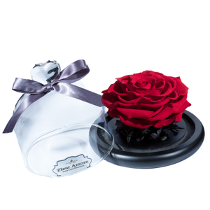 Red Preserved Rose | Glass Dome with Heart Handle