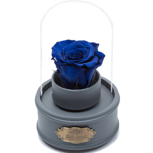 ROYAL BLUE PRESERVED ROSE｜THE ONLY REGULAR GREY MUSIC GLOBE