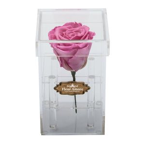 PINK PRESERVED ROSE | PETITE ACRYLIC ROSE BOX