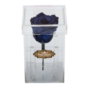 ROYAL BLUE PRESERVED ROSE | PETITE ACRYLIC ROSE BOX