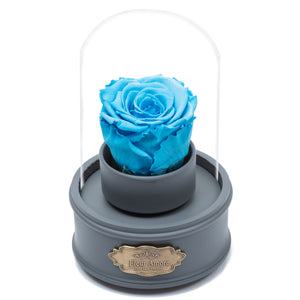 BLUE PRESERVED ROSE｜THE ONLY REGULAR GREY MUSIC GLOBE