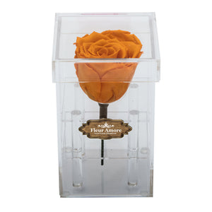 YELLOW PRESERVED ROSE | PETITE ACRYLIC ROSE BOX