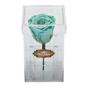 TIFFANY BLUE PRESERVED ROSE | PETITE ACRYLIC ROSE BOX